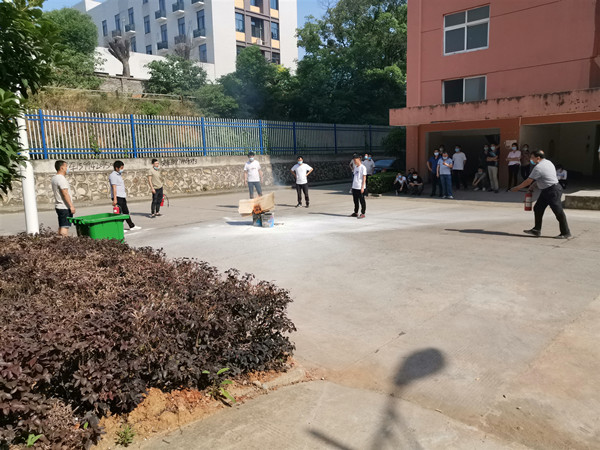 1590138144678946.jpg 1.jpg